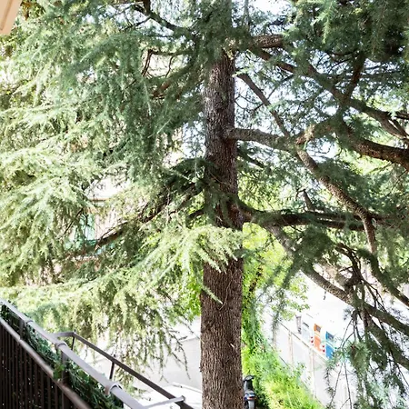 Appartement A Casa Di Nani *